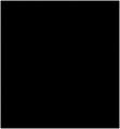 Carré noir du black out