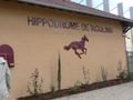 Hippodrome moulins 29 03 09 (4)