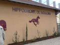 Hippodrome moulins 29 03 09 (4)