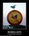 Rebellion 1
