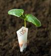 Taxe carbone