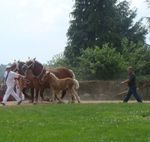 DSC01589