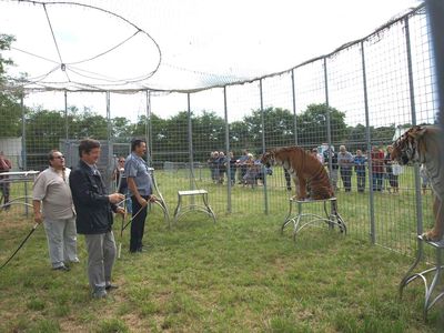 Foire de Talenne 5