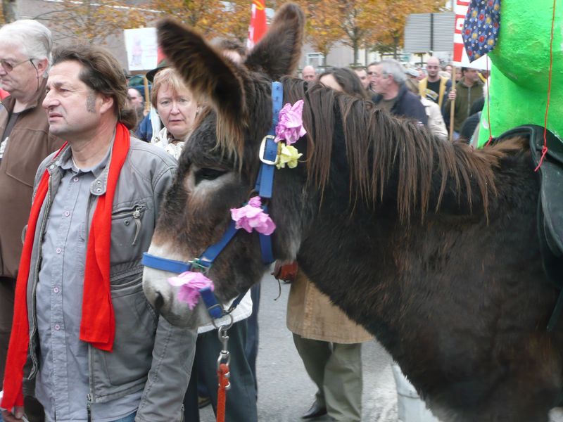 6 11 10 manif retraites moulins (11)