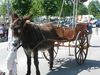 Manif retraites moulins 24 6 10 (20)