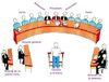 Composition%2520cour%2520d%27assises