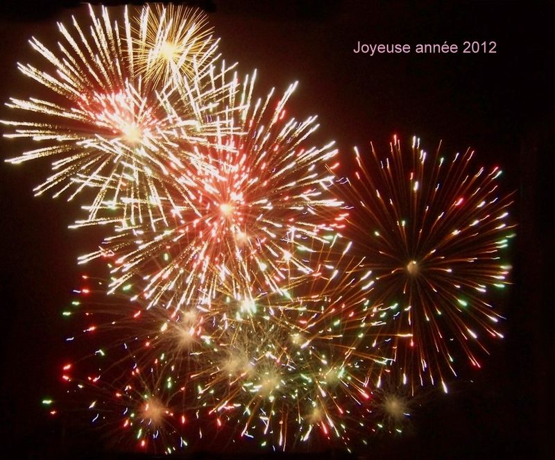 Feu-d-artifice-bouquet-6338-waterloo-08-7-21-cpf-257