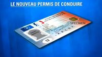 Permis-de-conduire-électronique_Bestyep