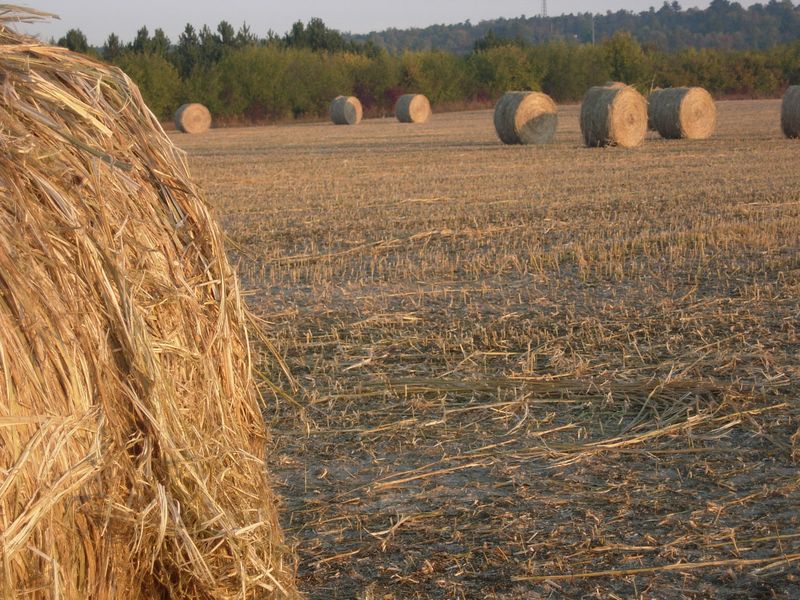 Fiscalité agriculture