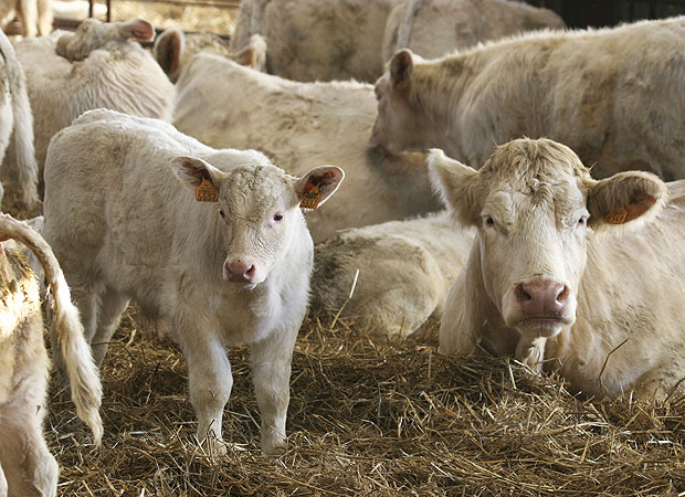 Agriculture-allier