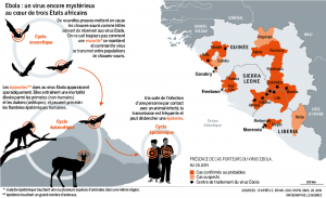 La-diffusion-du-virus-ebola-300x183[1]