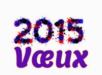 Voeux-2015[1]