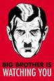 Big_brother_vous_surveille